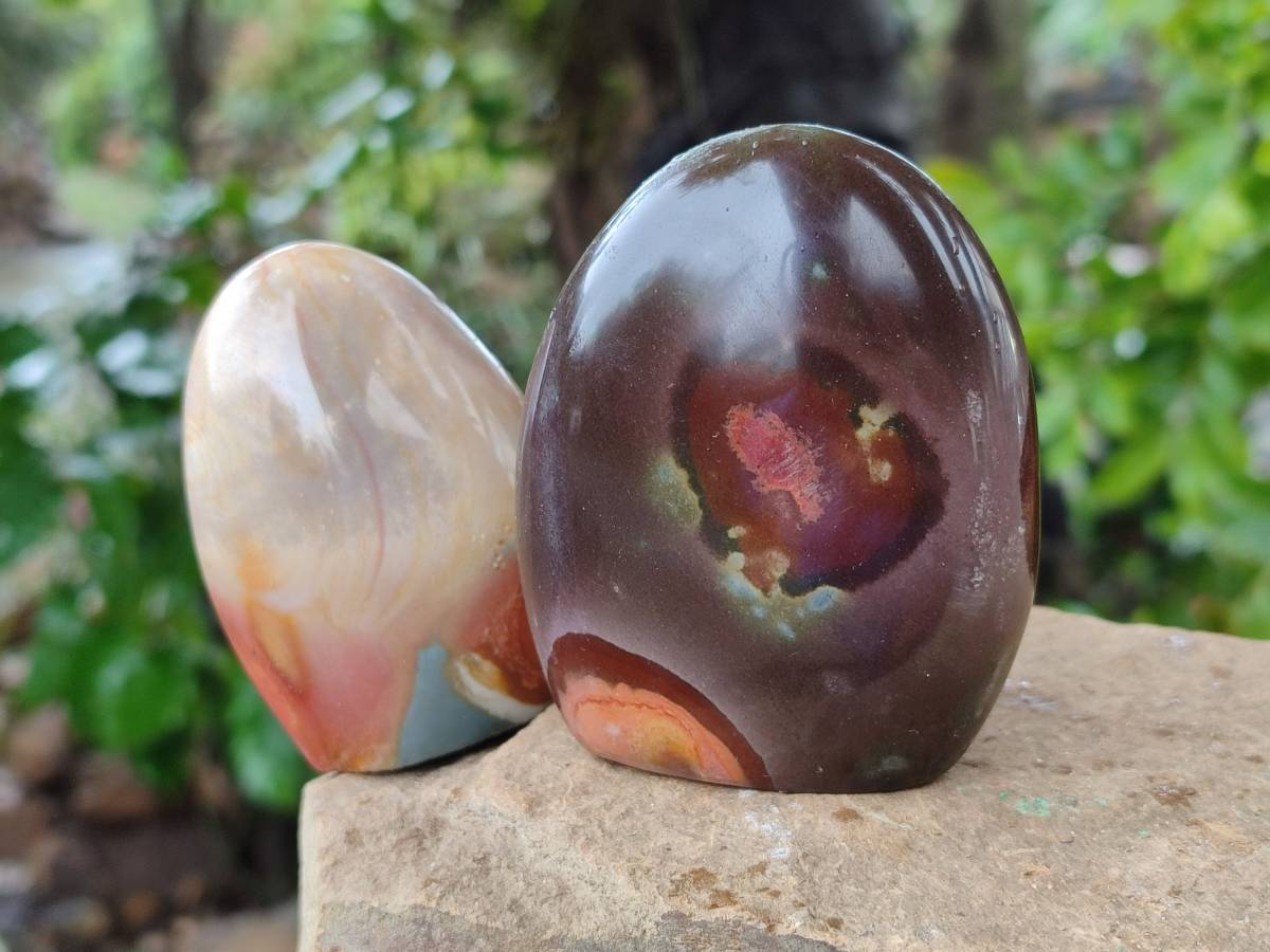 Polished Polychrome Jasper Standing Free Forms x 6 From NW Coast, Madagascar - Toprock Gemstones and Minerals 