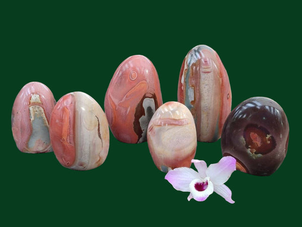 Polished Polychrome Jasper Standing Free Forms x 6 From NW Coast, Madagascar