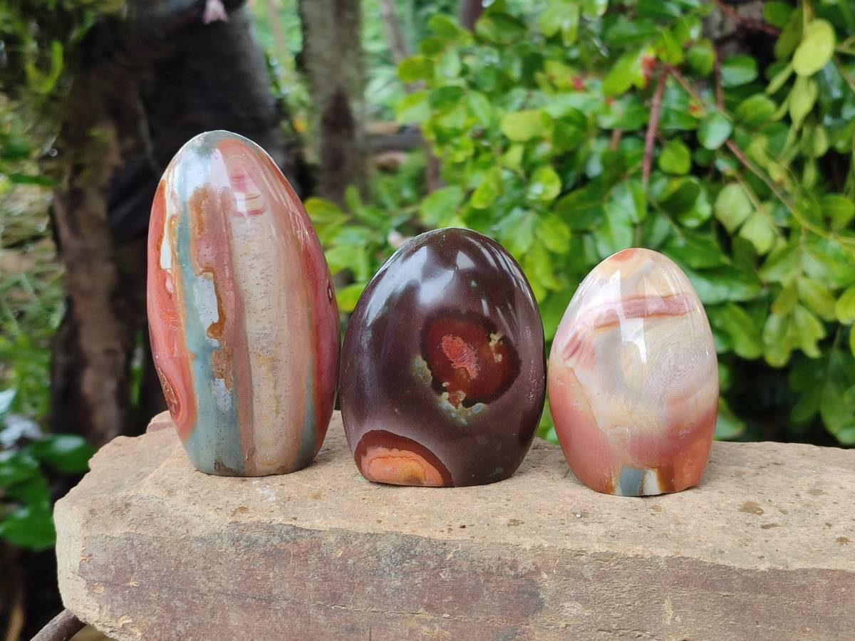 Polished Polychrome Jasper Standing Free Forms x 6 From NW Coast, Madagascar - Toprock Gemstones and Minerals 