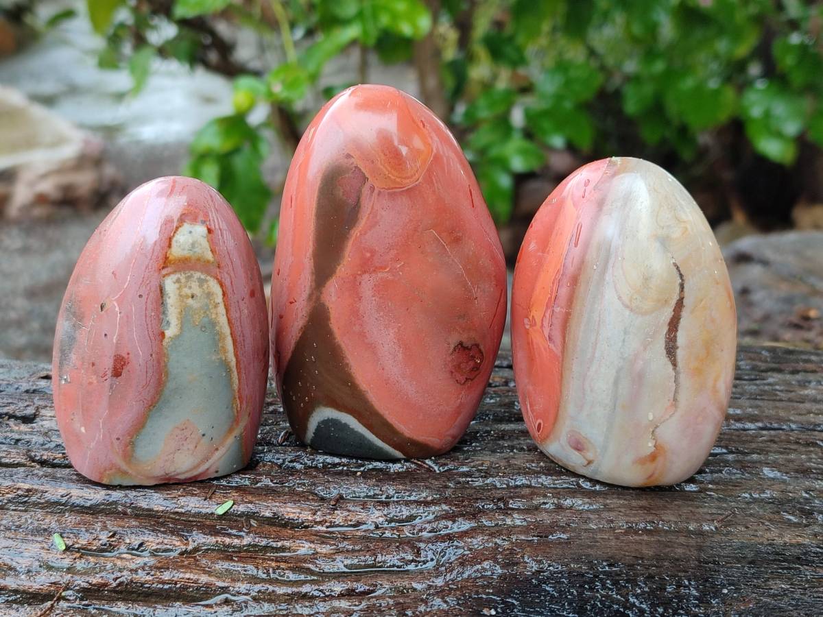 Polished Polychrome Jasper Standing Free Forms x 6 From NW Coast, Madagascar - Toprock Gemstones and Minerals 