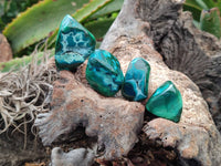 Polished Malacolla Free Forms x 35 From Kulukuluku, Congo