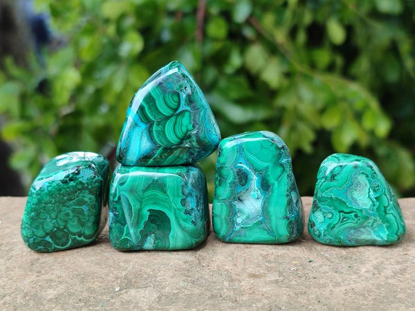 Polished Malacolla Free Forms x 35 From Kulukuluku, Congo