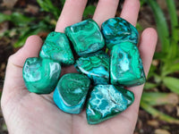 Polished Malacolla Free Forms x 35 From Kulukuluku, Congo