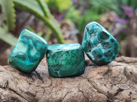 Polished Malacolla Free Forms x 35 From Kulukuluku, Congo