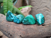 Polished Malacolla Free Forms x 35 From Kulukuluku, Congo