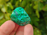 Polished Malacolla Free Forms x 35 From Kulukuluku, Congo