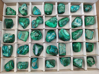 Polished Malacolla Free Forms x 35 From Kulukuluku, Congo