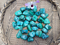 Polished Malacolla Free Forms x 35 From Kulukuluku, Congo