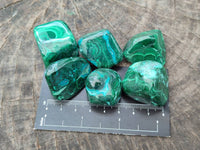 Polished Malacolla Free Forms x 35 From Kulukuluku, Congo