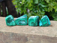Polished Malacolla Free Forms x 35 From Kulukuluku, Congo