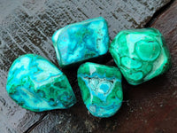 Polished Malacolla Free Forms x 35 From Kulukuluku, Congo