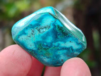 Polished Malacolla Free Forms x 35 From Kulukuluku, Congo
