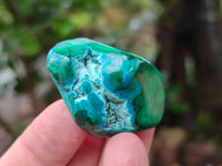 Polished Malacolla Free Forms x 35 From Kulukuluku, Congo