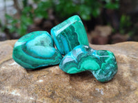Polished Malacolla Free Forms x 35 From Kulukuluku, Congo