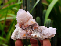Natural Small Amethyst and Ametrine Spirit Quartz Clusters x 12 From South Africa