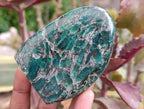 Polished Emerald Mica 'Mutokolite' Standing Free Forms x 4 From Mutoko, Zimbabwe - Toprock Gemstones and Minerals 