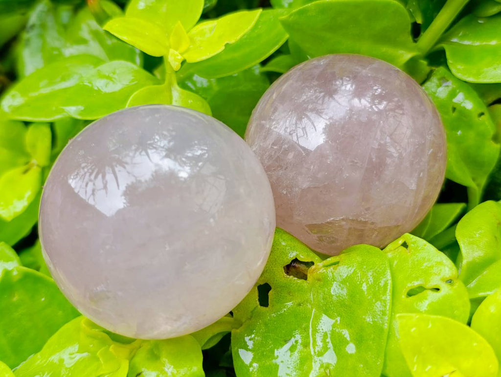 Polished Star Rose Quartz Spheres x 6 From Madagascar - Toprock Gemstones and Minerals 