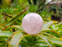 Polished Star Rose Quartz Spheres x 6 From Madagascar
