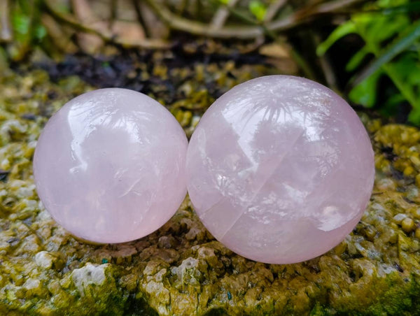 Polished Star Rose Quartz Spheres x 6 From Madagascar