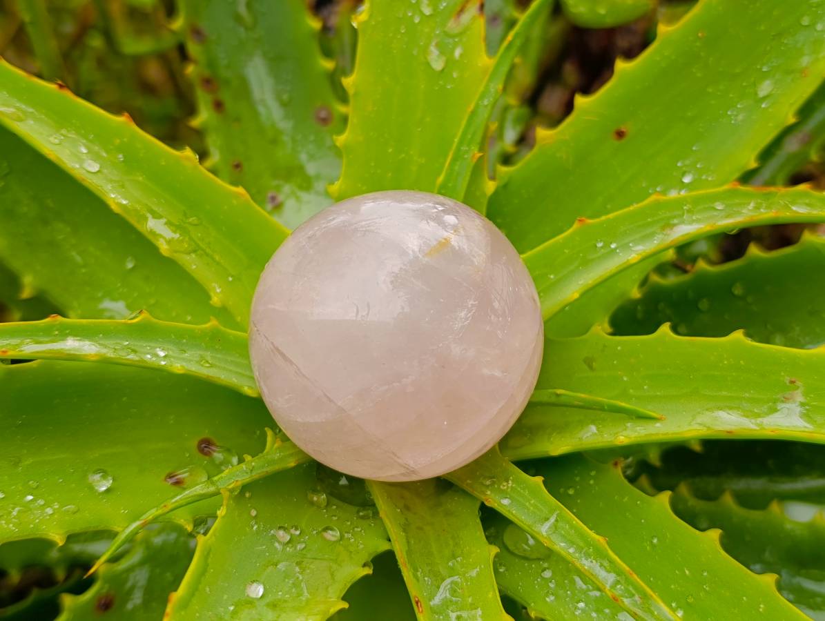 Polished Star Rose Quartz Spheres x 6 From Madagascar - Toprock Gemstones and Minerals 