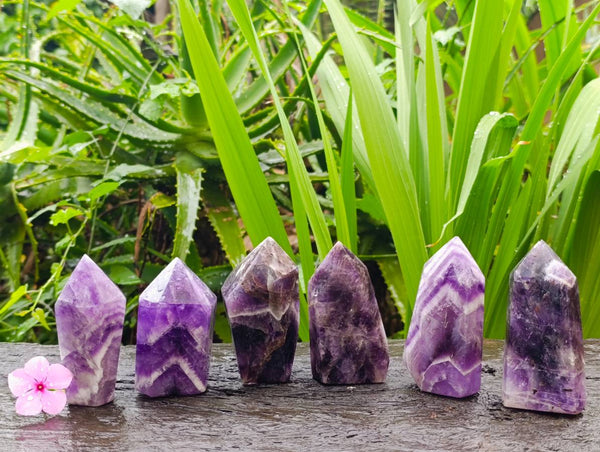 Polished Chevron Amethyst Points x 6 From Zambia