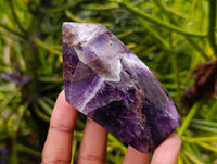 Polished Chevron Amethyst Points x 6 From Zambia