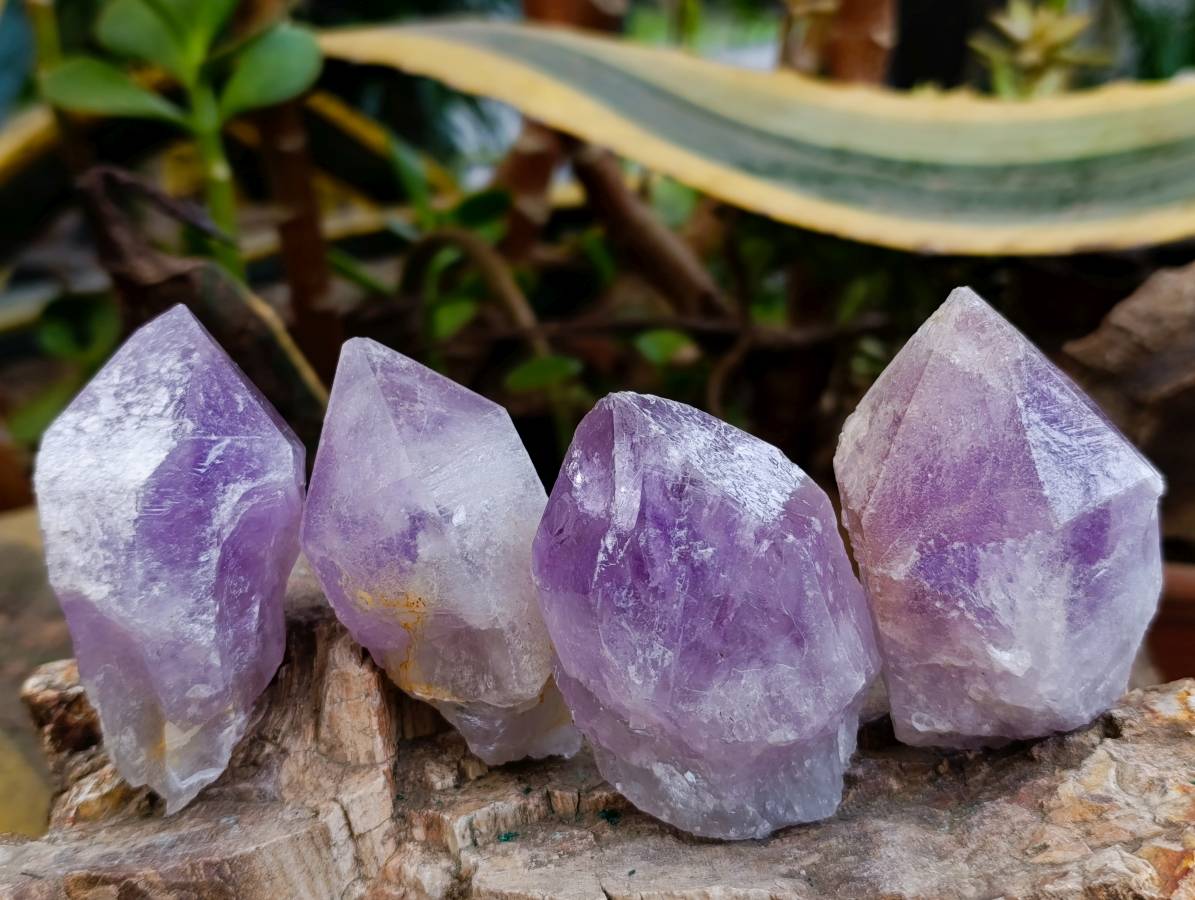 Natural Jacaranda Amethyst Quartz Crystals x 12 From Mumbwa, Zambia - Toprock Gemstones and Minerals 