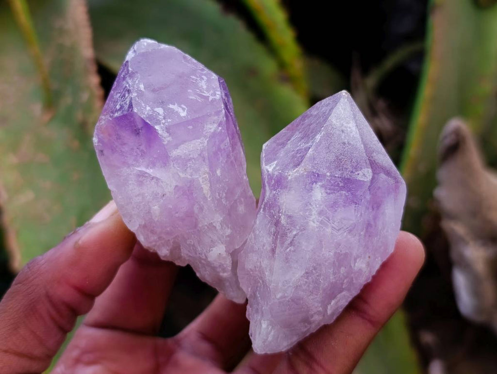 Natural Jacaranda Amethyst Quartz Crystals x 12 From Mumbwa, Zambia - Toprock Gemstones and Minerals 