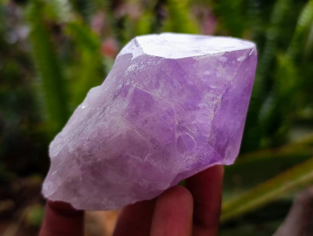 Natural Jacaranda Amethyst Quartz Crystals x 12 From Mumbwa, Zambia - Toprock Gemstones and Minerals 
