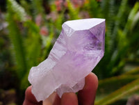 Natural Jacaranda Amethyst Quartz Crystals x 12 From Mumbwa, Zambia