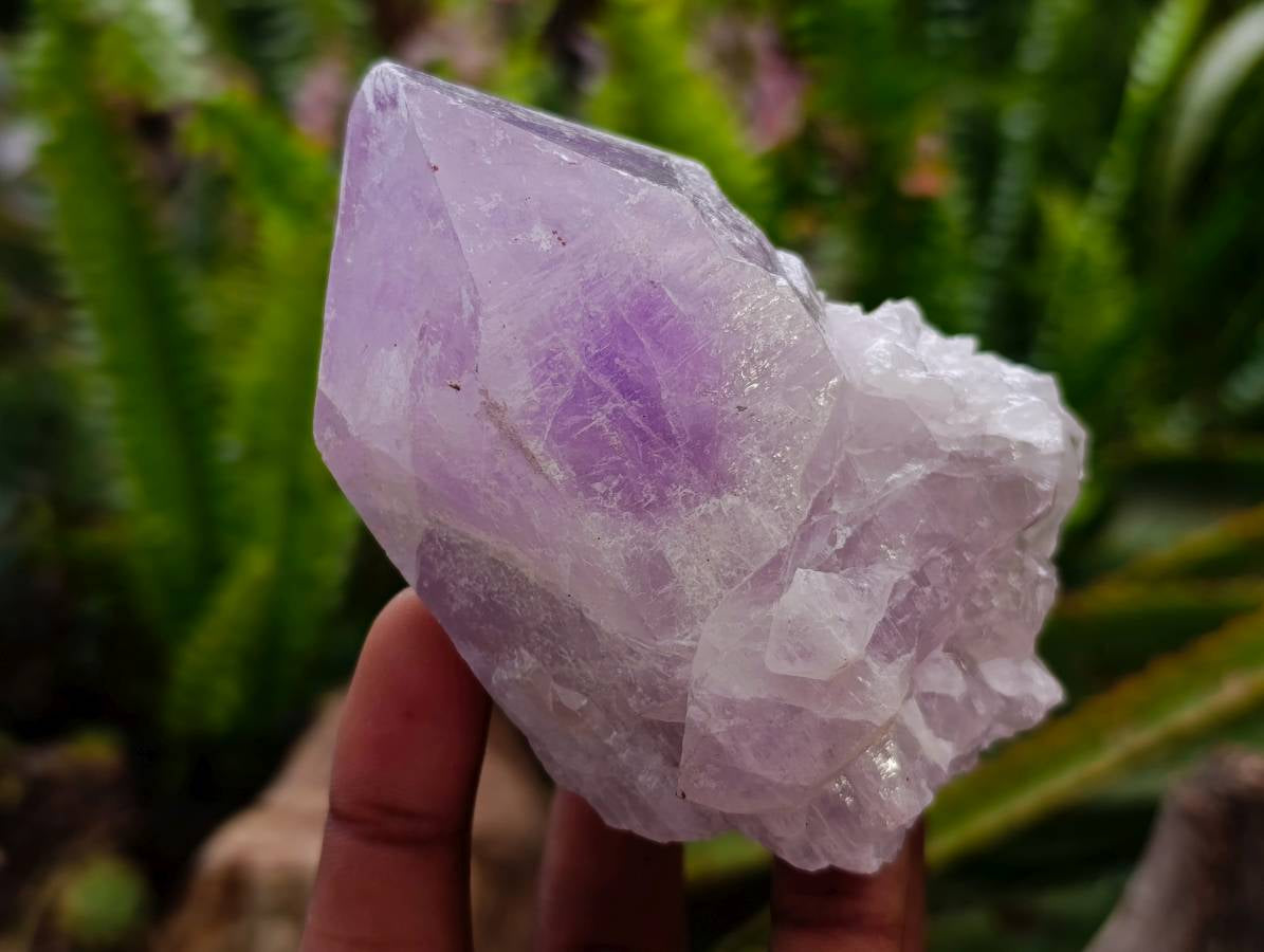 Natural Jacaranda Amethyst Quartz Crystals x 12 From Mumbwa, Zambia - Toprock Gemstones and Minerals 