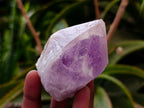 Natural Jacaranda Amethyst Quartz Crystals x 12 From Mumbwa, Zambia - Toprock Gemstones and Minerals 