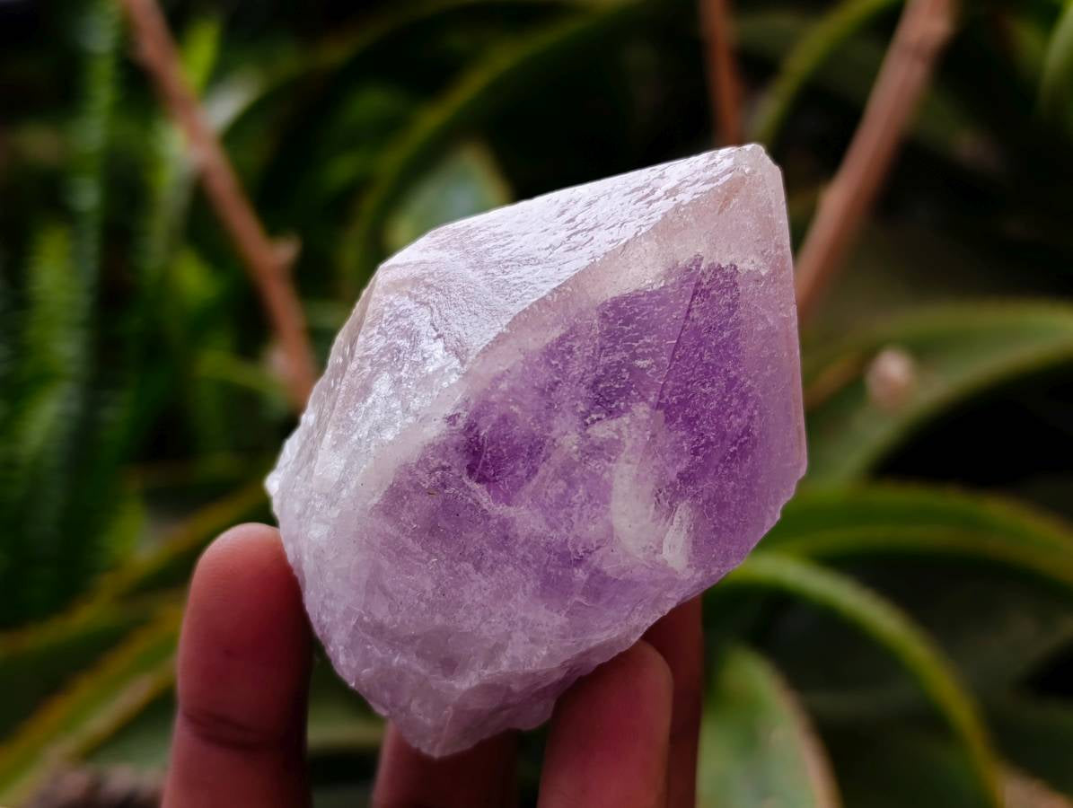 Natural Jacaranda Amethyst Quartz Crystals x 12 From Mumbwa, Zambia - Toprock Gemstones and Minerals 