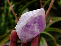 Natural Jacaranda Amethyst Quartz Crystals x 12 From Mumbwa, Zambia