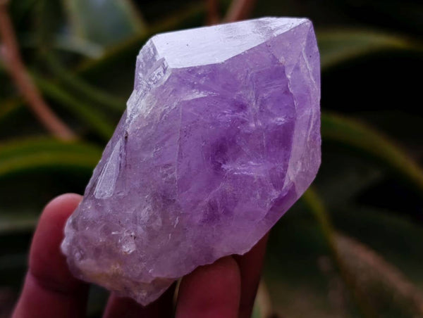 Natural Jacaranda Amethyst Quartz Crystals x 12 From Mumbwa, Zambia