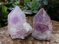 Natural Jacaranda Amethyst Quartz Crystals x 12 From Mumbwa, Zambia