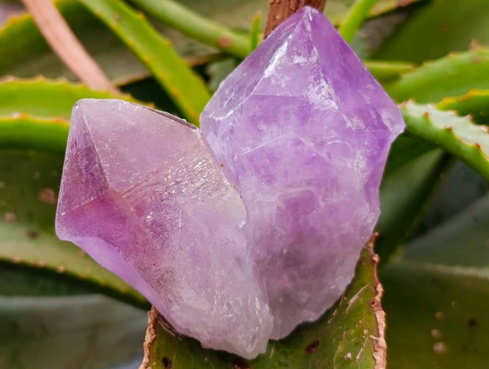 Natural Jacaranda Amethyst Quartz Crystals x 12 From Mumbwa, Zambia - Toprock Gemstones and Minerals 