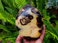 Polished Septerye Standing Free Forms x 2 From Mahajanga, Madagascar
