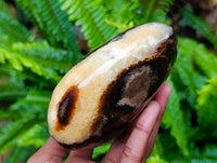 Polished Septerye Standing Free Forms x 2 From Mahajanga, Madagascar