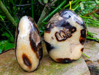 Polished Septerye Standing Free Forms x 2 From Mahajanga, Madagascar