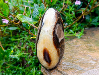 Polished Septerye Standing Free Forms x 2 From Mahajanga, Madagascar