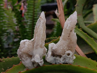 Natural Drusy Quartz Coated Calcite Pseudomorph Specimens x 14 From Alberts Mountain, Lesotho