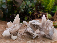 Natural Drusy Quartz Coated Calcite Pseudomorph Specimens x 14 From Alberts Mountain, Lesotho