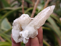 Natural Drusy Quartz Coated Calcite Pseudomorph Specimens x 14 From Alberts Mountain, Lesotho