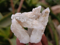 Natural Drusy Quartz Coated Calcite Pseudomorph Specimens x 14 From Alberts Mountain, Lesotho