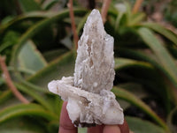 Natural Drusy Quartz Coated Calcite Pseudomorph Specimens x 14 From Alberts Mountain, Lesotho