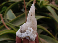 Natural Drusy Quartz Coated Calcite Pseudomorph Specimens x 14 From Alberts Mountain, Lesotho