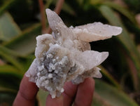 Natural Drusy Quartz Coated Calcite Pseudomorph Specimens x 14 From Alberts Mountain, Lesotho