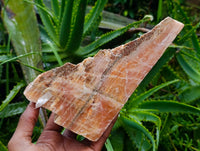 Natural Sunset Orange Calcite Specimens x 3 From Spitzkop, Namibia