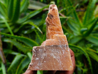Natural Sunset Orange Calcite Specimens x 3 From Spitzkop, Namibia